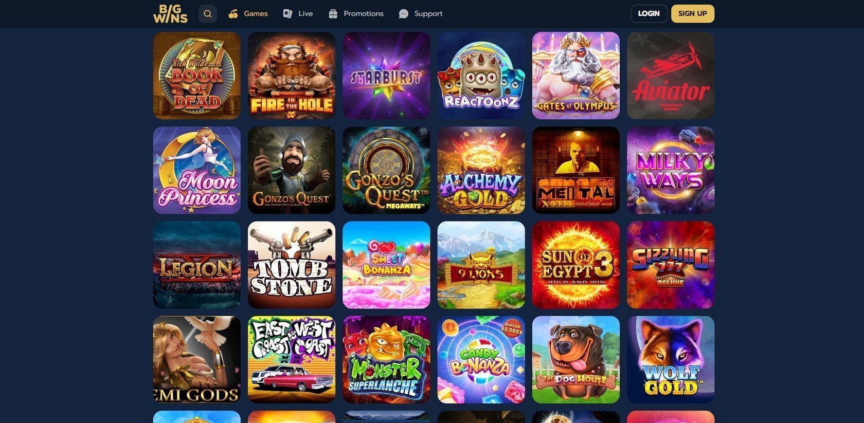 Bigwin Casino Site Testimonial